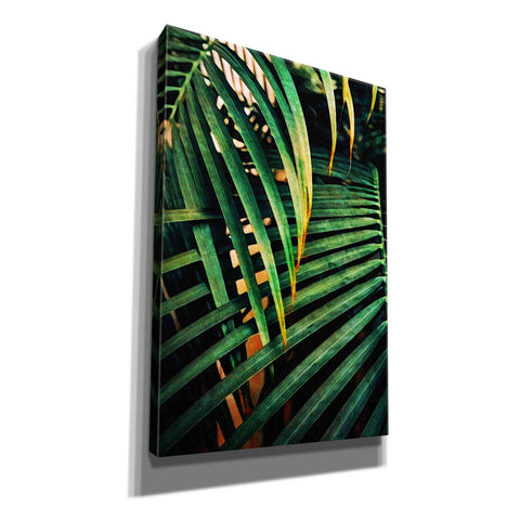Image of 'Beauty Amongst Palms 3' by Ashley Aldridge Giclee Canvas Wall Art