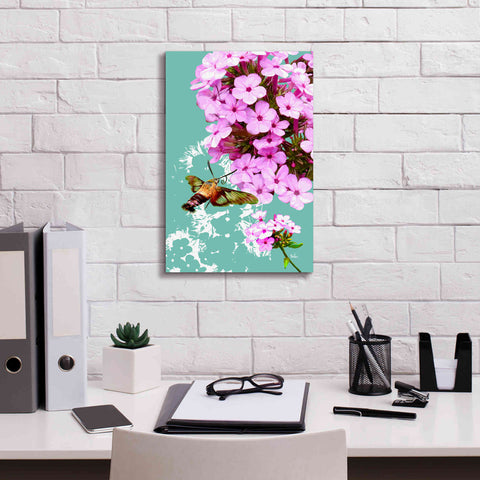 Image of 'Clearwing On Flox' by Evelia Designs Giclee Canvas Wall Art,12 x 18