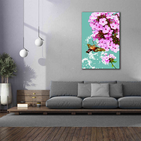 Image of 'Clearwing On Flox' by Evelia Designs Giclee Canvas Wall Art,40 x 60
