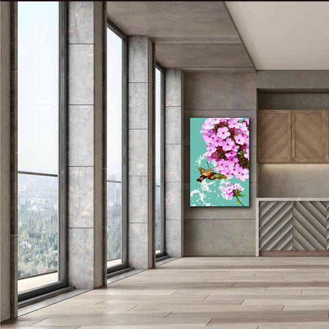 Image of 'Clearwing On Flox' by Evelia Designs Giclee Canvas Wall Art,40 x 60