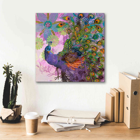 Image of 'Peacock Prance' by Evelia Designs Giclee Canvas Wall Art,18 x 18