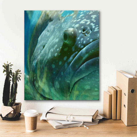 Image of 'Turquoise Splash One' by Steve Hunziker Giclee Canvas Wall Art,20 x 24
