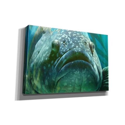 Image of 'Turquoisesplash Two' by Steve Hunziker Giclee Canvas Wall Art