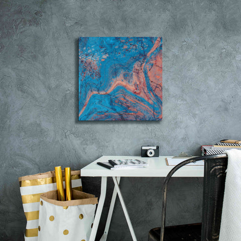 Image of 'Craquelure One' by Steve Hunziker Giclee Canvas Wall Art,18 x 18