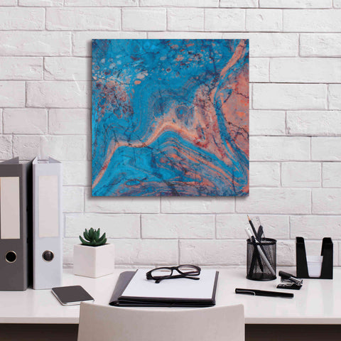 Image of 'Craquelure One' by Steve Hunziker Giclee Canvas Wall Art,18 x 18