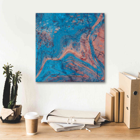 Image of 'Craquelure One' by Steve Hunziker Giclee Canvas Wall Art,18 x 18