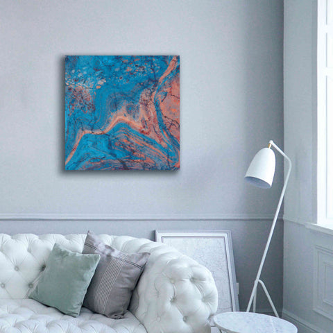 Image of 'Craquelure One' by Steve Hunziker Giclee Canvas Wall Art,37 x 37