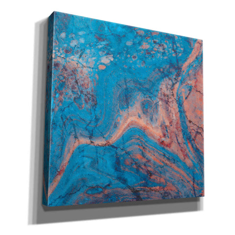 Image of 'Craquelure One' by Steve Hunziker Giclee Canvas Wall Art