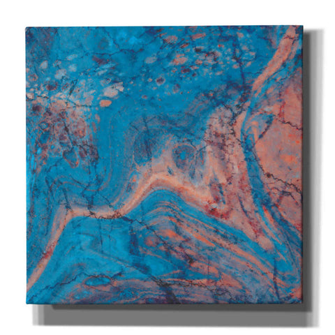 Image of 'Craquelure One' by Steve Hunziker Giclee Canvas Wall Art