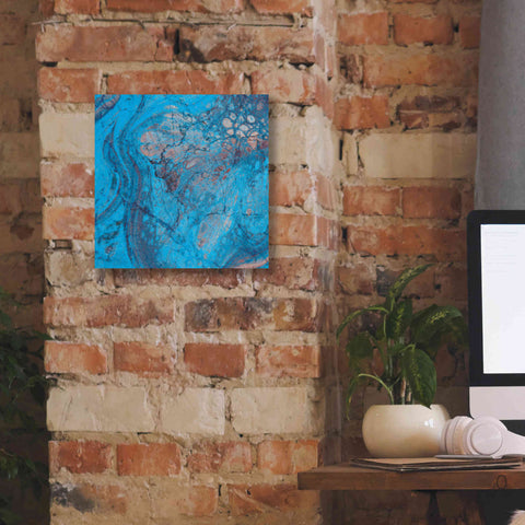 Image of 'Craquelure Two' by Steve Hunziker Giclee Canvas Wall Art,12 x 12