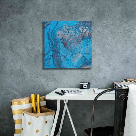 Image of 'Craquelure Two' by Steve Hunziker Giclee Canvas Wall Art,18 x 18