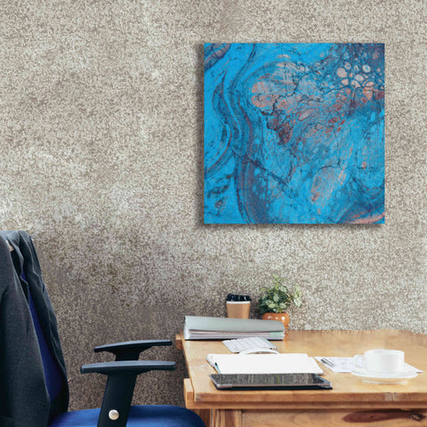 Image of 'Craquelure Two' by Steve Hunziker Giclee Canvas Wall Art,26 x 26