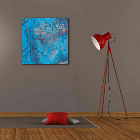 Image of 'Craquelure Two' by Steve Hunziker Giclee Canvas Wall Art,26 x 26