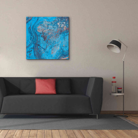 Image of 'Craquelure Two' by Steve Hunziker Giclee Canvas Wall Art,37 x 37