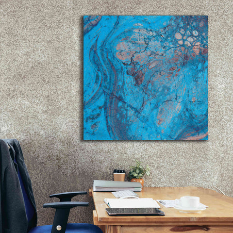 Image of 'Craquelure Two' by Steve Hunziker Giclee Canvas Wall Art,37 x 37