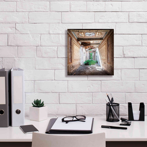 Image of 'Broken Farm' by Roman Robroek Giclee Canvas Wall Art,12 x 12