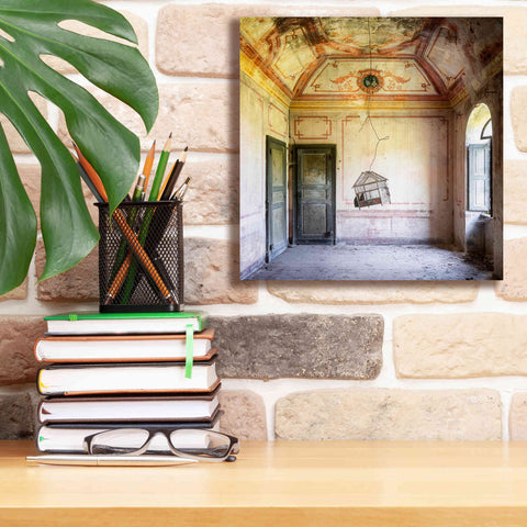 Image of 'Bird Cage' by Roman Robroek Giclee Canvas Wall Art,12 x 12