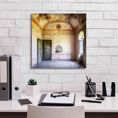 Image of 'Bird Cage' by Roman Robroek Giclee Canvas Wall Art,18 x 18