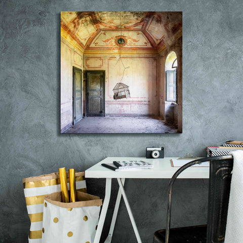Image of 'Bird Cage' by Roman Robroek Giclee Canvas Wall Art,26 x 26
