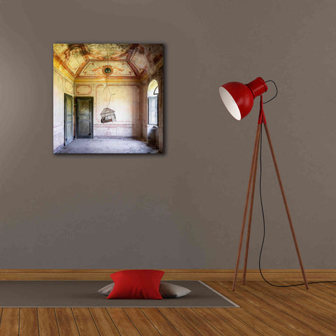 Image of 'Bird Cage' by Roman Robroek Giclee Canvas Wall Art,26 x 26