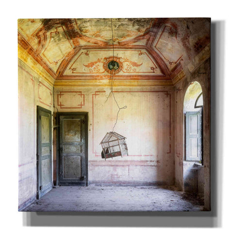 Image of 'Bird Cage' by Roman Robroek Giclee Canvas Wall Art