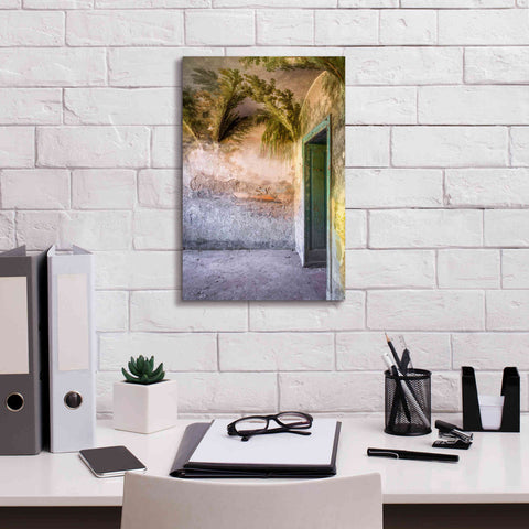 Image of 'Tropical Room' by Roman Robroek Giclee Canvas Wall Art,12 x 18