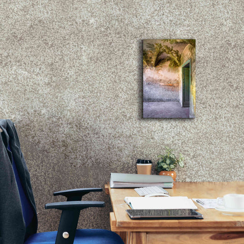 Image of 'Tropical Room' by Roman Robroek Giclee Canvas Wall Art,12 x 18