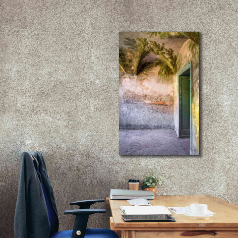 Image of 'Tropical Room' by Roman Robroek Giclee Canvas Wall Art,26 x 40
