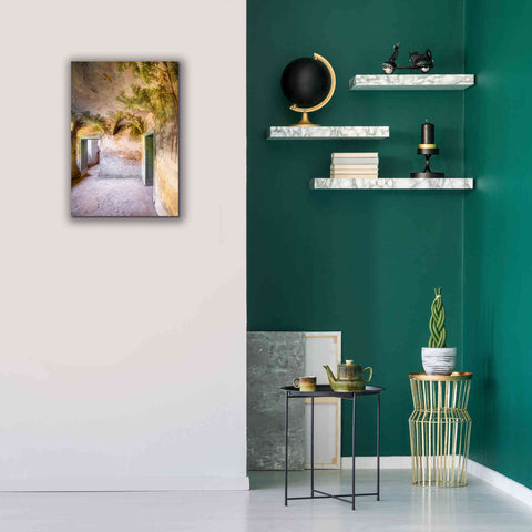 Image of 'Palm Room' by Roman Robroek Giclee Canvas Wall Art,18 x 26