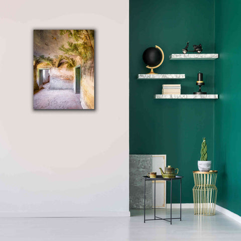 Image of 'Palm Room' by Roman Robroek Giclee Canvas Wall Art,26 x 34
