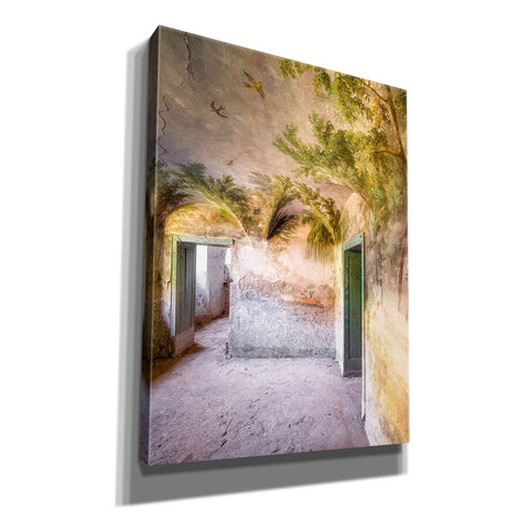 Image of 'Palm Room' by Roman Robroek Giclee Canvas Wall Art