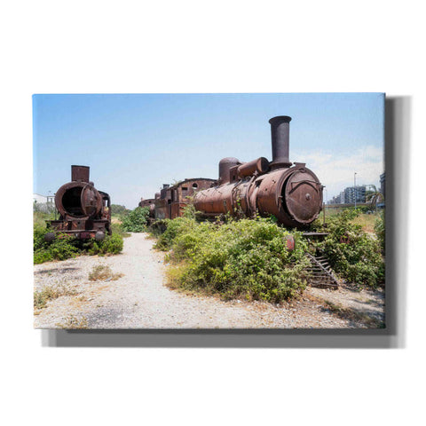 Image of 'Train Heritage' by Roman Robroek Giclee Canvas Wall Art