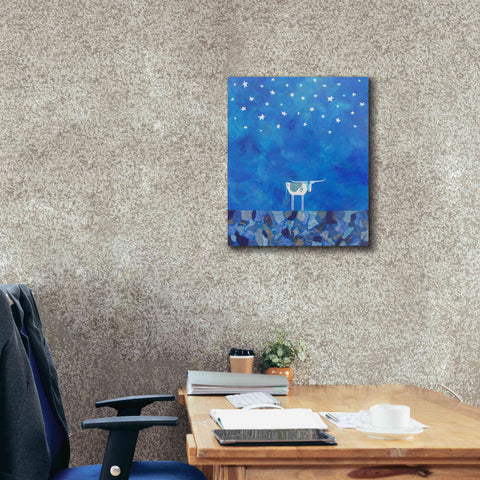 Image of 'Stars at Night by Casey Craig Giclee Canvas Wall Art,20 x 24