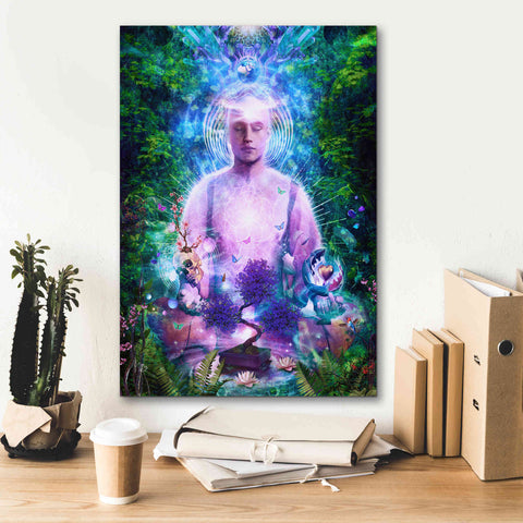 Image of 'Daily Meditation' by Cameron Gray Giclee Canvas Wall Art,18 x 26