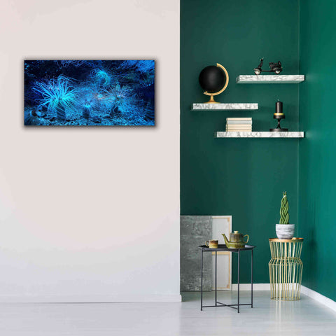 Image of 'Anemone Jungle' by Epic Portfolio, Giclee Canvas Wall Art,40x20