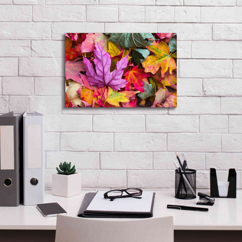 Image of 'Beautiful Fall' by Epic Portfolio, Giclee Canvas Wall Art,18x12