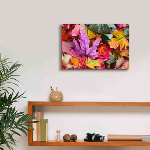 Image of 'Beautiful Fall' by Epic Portfolio, Giclee Canvas Wall Art,18x12