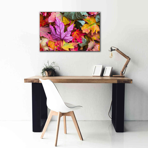 Image of 'Beautiful Fall' by Epic Portfolio, Giclee Canvas Wall Art,40x26
