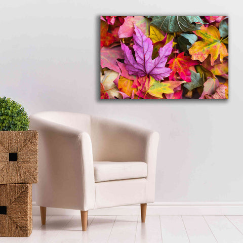 Image of 'Beautiful Fall' by Epic Portfolio, Giclee Canvas Wall Art,40x26