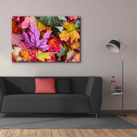 Image of 'Beautiful Fall' by Epic Portfolio, Giclee Canvas Wall Art,60x40