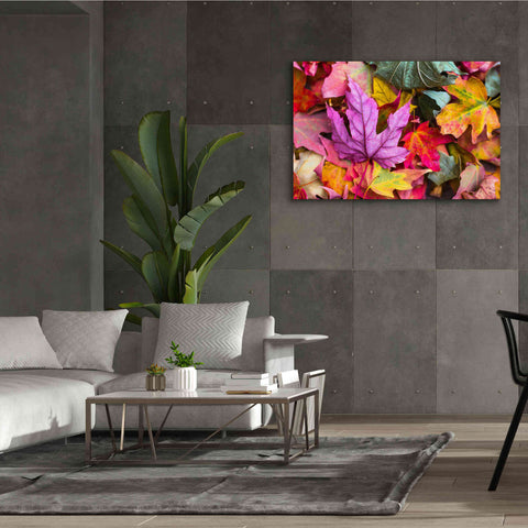 Image of 'Beautiful Fall' by Epic Portfolio, Giclee Canvas Wall Art,60x40