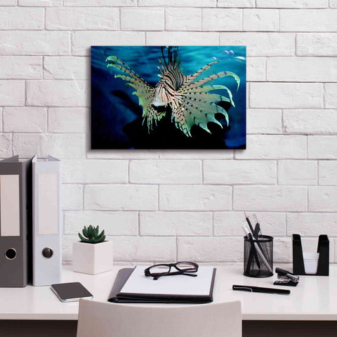 Image of 'Boo' by Epic Portfolio, Giclee Canvas Wall Art,18x12