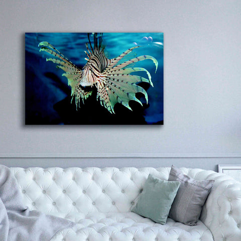 Image of 'Boo' by Epic Portfolio, Giclee Canvas Wall Art,60x40