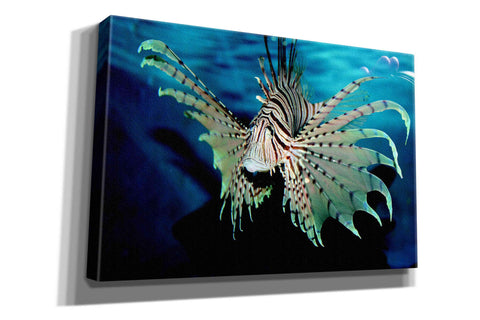 Image of 'Boo' by Epic Portfolio, Giclee Canvas Wall Art