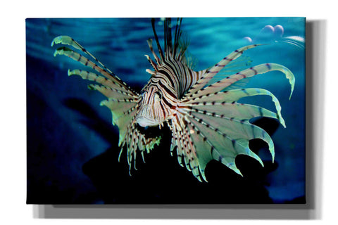 Image of 'Boo' by Epic Portfolio, Giclee Canvas Wall Art