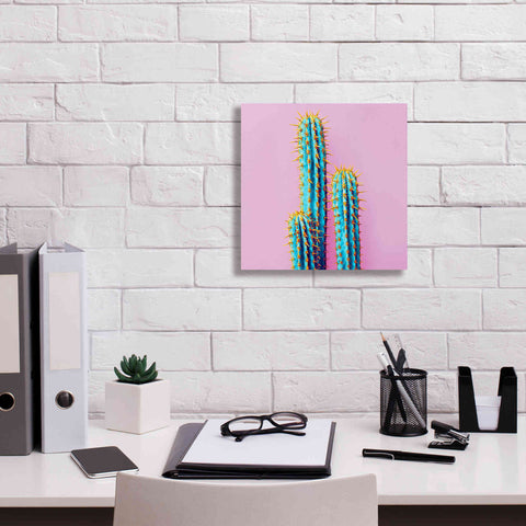 Image of 'Bubble Gum Cactus' by Epic Portfolio, Giclee Canvas Wall Art,12x12