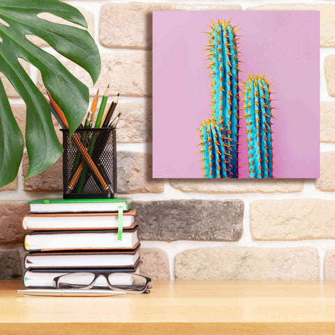 Image of 'Bubble Gum Cactus' by Epic Portfolio, Giclee Canvas Wall Art,12x12