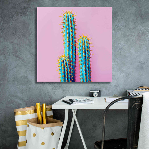 Image of 'Bubble Gum Cactus' by Epic Portfolio, Giclee Canvas Wall Art,26x26