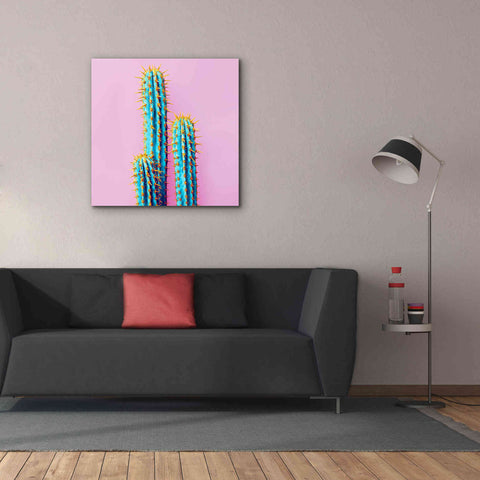 Image of 'Bubble Gum Cactus' by Epic Portfolio, Giclee Canvas Wall Art,37x37