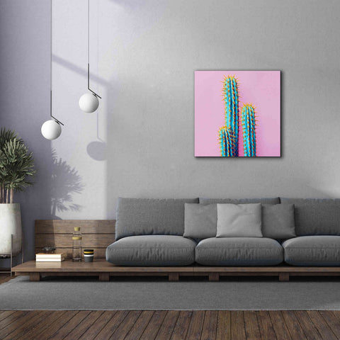 Image of 'Bubble Gum Cactus' by Epic Portfolio, Giclee Canvas Wall Art,37x37